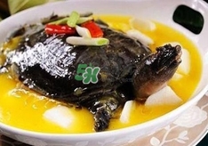 甲魚(yú)不能和什么一起吃？甲魚(yú)不能跟什么食物一起吃