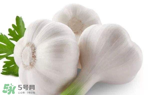 新蒜頭多少錢一斤2017？新蒜頭市場(chǎng)價(jià)格