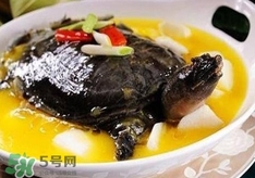 甲魚湯孕婦能喝嗎？甲魚湯孕婦可以喝嗎