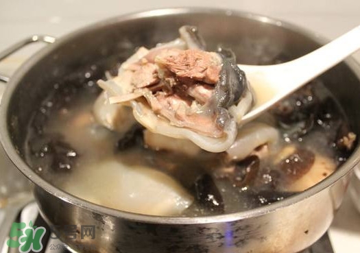 甲魚湯孕婦能喝嗎？甲魚湯孕婦可以喝嗎