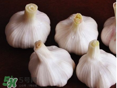 新蒜頭怎么弄成老蒜頭？新蒜頭和老蒜頭的區(qū)別