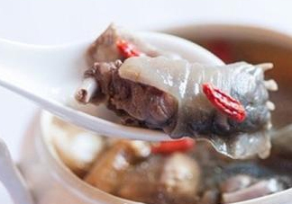 甲魚(yú)湯怎么做？甲魚(yú)湯的做法