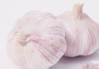 新蒜頭多少錢一斤2017？新蒜頭市場(chǎng)價(jià)格