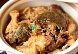 甲魚(yú)怎么做好吃？甲魚(yú)怎樣做最好吃