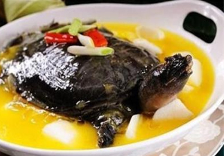 甲魚(yú)不能和什么一起吃？甲魚(yú)不能跟什么食物一起吃