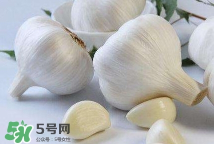 新蒜頭怎么保存不發(fā)芽？新蒜頭怎么存放