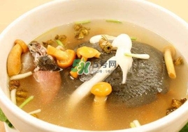 甲魚(yú)不能和什么一起吃？甲魚(yú)不能跟什么食物一起吃