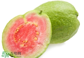 番石榴什么時候吃最好？番石榴什么季節(jié)吃最好