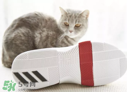 adidas dame3上腳怎么樣？阿迪達斯利拉德三代測評