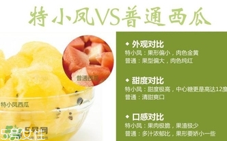 特小鳳西瓜孕婦能吃嗎？特小鳳西瓜孕婦可以吃嗎