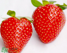 六月份還有草莓嗎？6月份的草莓能吃嗎？