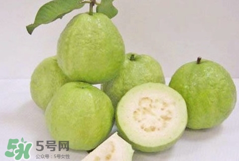 番石榴什么時(shí)候成熟？番石榴什么時(shí)候上市