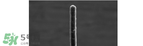 熊野巨匠小熊筆怎么用？熊野巨匠小熊去黑頭筆使用方法