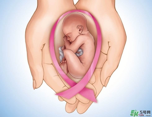 生育保險(xiǎn)能報(bào)多少錢？生育保險(xiǎn)報(bào)銷條件、流程