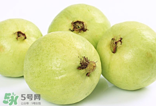 番石榴什么時(shí)候成熟？番石榴什么時(shí)候上市