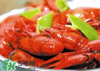 蝦黃孕婦能吃嗎？蝦黃在哪個位置圖解