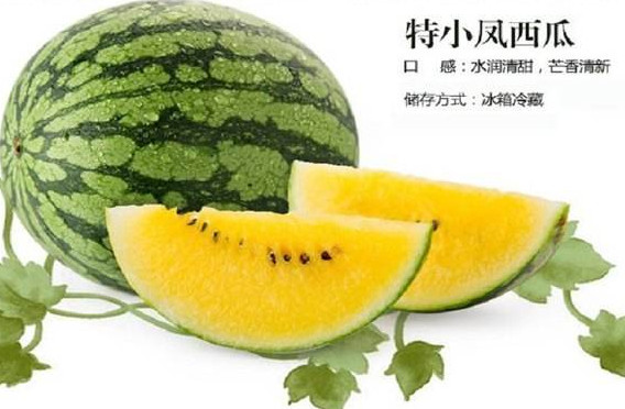 特小鳳西瓜是轉(zhuǎn)基因嗎？特小鳳西瓜是不是轉(zhuǎn)基因