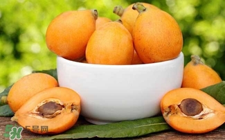 枇杷花怎么煲湯？枇杷花煲湯搭配什么最佳？