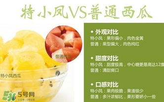 特小鳳西瓜多少錢一斤2017？特小鳳西瓜價(jià)格