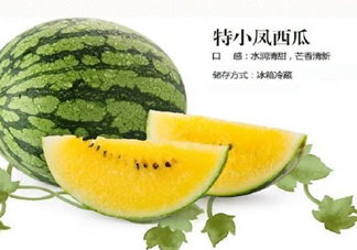 特小鳳西瓜是轉(zhuǎn)基因嗎？特小鳳西瓜是不是轉(zhuǎn)基因