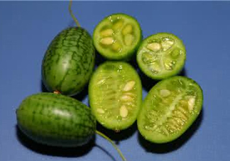 世界上最小的西瓜  迷你西瓜多少錢一個(gè)？