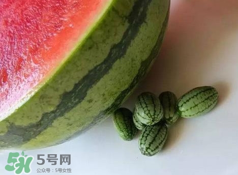 世界上最小的西瓜  迷你西瓜多少錢一個？