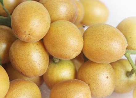 黃皮果有多少種顏色？黃皮果核有什么用處嗎