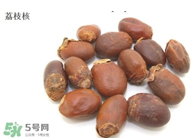 荔枝核能種嗎？荔枝核怎么種出盆栽