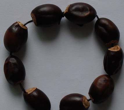 荔枝核能治糖尿病嗎？荔枝核可以降血糖嗎