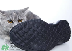 adidas alphabounce上腳怎么樣？阿迪達(dá)斯阿爾法小椰子測評