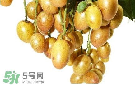 黃皮果什么時(shí)候成熟？黃皮果什么時(shí)候上市