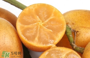 黃皮果怎么保存？黃皮果如何保存