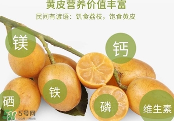 如何種植黃皮果？黃皮果怎么種植？