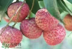 荔枝吃多了會(huì)怎么樣？荔枝上火怎么辦？