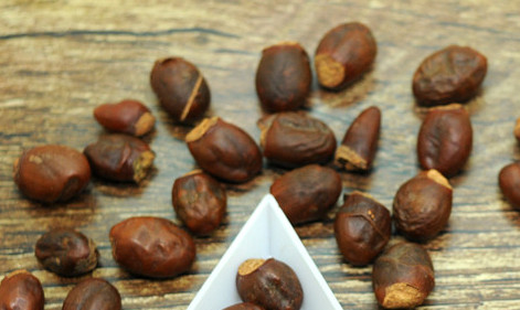 荔枝核能治糖尿病嗎？荔枝核可以降血糖嗎