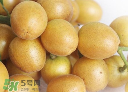 雞心黃皮幾年才掛果？雞心黃皮如何種植管理