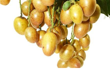 黃皮果有多少種顏色？黃皮果核有什么用處嗎