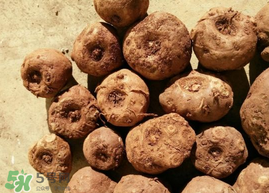 魔芋可以放冰箱嗎？魔芋能放冰箱冷藏嗎？