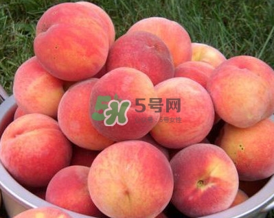 紅不軟桃?guī)自路莩墒欤考t不軟桃什么時候成熟