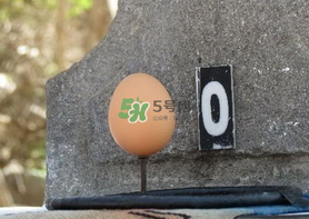 夏至雞蛋為什么立著？夏至是不是有吃雞蛋這個說法？