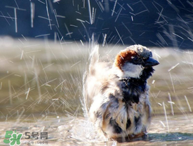 六月份雨水多嗎？2017年6月份雨水多嗎？
