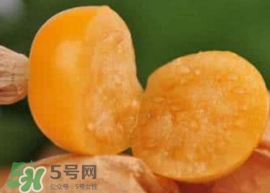 姑娘果是寒性嗎？姑娘果是涼性還是熱性？