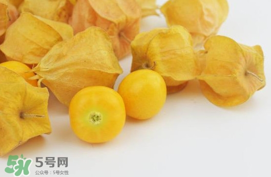 姑娘果什么時候成熟？姑娘果什么時候上市