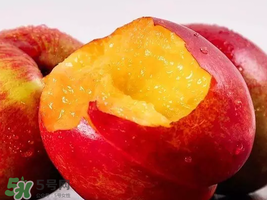 油桃怎么保存不會(huì)變軟？油桃怎么保存時(shí)間長(zhǎng)？