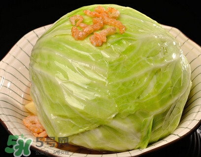 圓白菜是包菜嗎？圓白菜是大頭菜嗎？