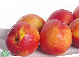 吃油桃會拉肚子嗎？拉肚子可以吃油桃嗎？