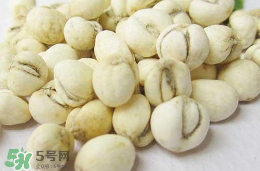 川貝母和川貝一樣嗎？川貝母與川貝的區(qū)別