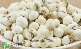 川貝母和川貝一樣嗎？川貝母與川貝的區(qū)別