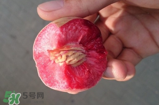 血桃產(chǎn)地在哪？血桃哪些地方產(chǎn)