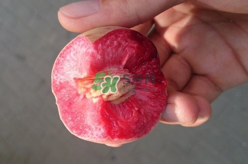 血桃多少錢一斤2017？血桃哪個(gè)品種最好吃